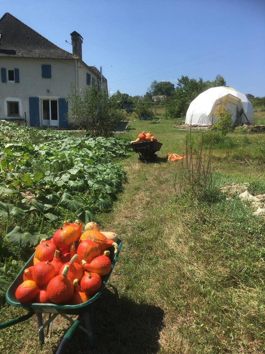 Production sur sol vivant