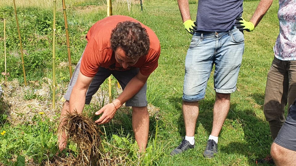 journées de formation
